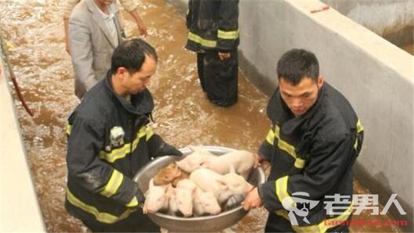 宣威市遭暴雨袭城 紧急出动11辆消防车救援