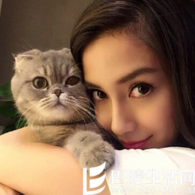 baby杨颖粉丝名叫什么？ 女神鲜明的个人风格引人注目