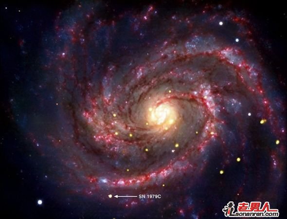 最年轻黑洞：NASA发现超新星SN 1979C的余烬【图】