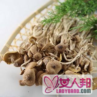 春季养生 茶树菇的营养价值