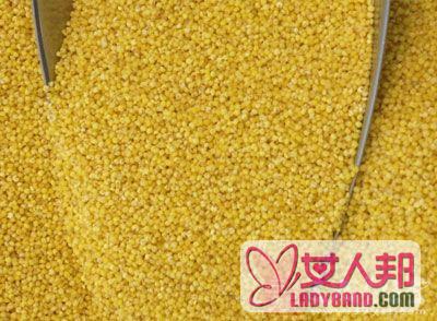 黄米的功效与作用 黄米美容养颜养胃补脾