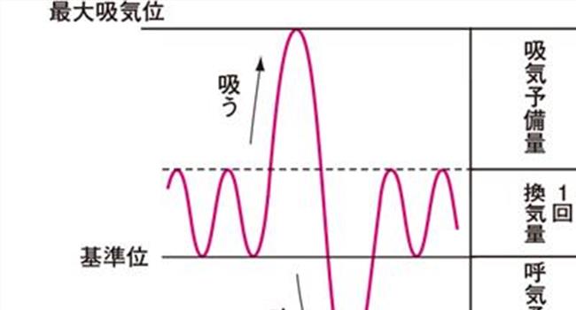 【妊娠期肺活量】提高“喘息服务”的“肺活量”