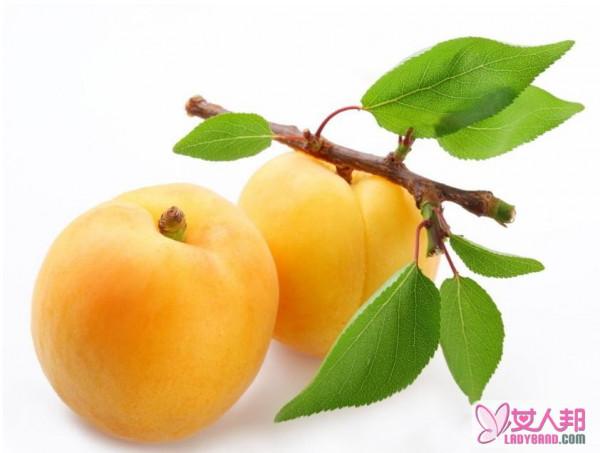 杏的功效与作用 杏的食用方法与宜忌