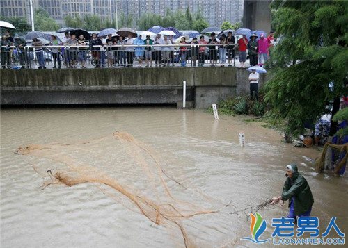 4万吨小龙虾逃逸 武汉暴雨致水产业损失63.17亿