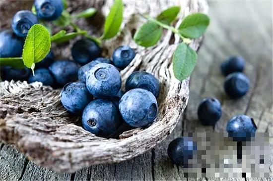 >蓝莓果酱的营养价值 防止动脉粥样硬化