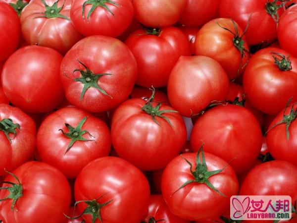 小番茄种植方法技巧