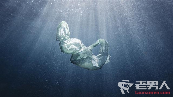 蛟龙号带回微塑料 全球至少25万吨塑料浮在海洋中
