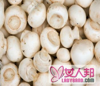 >【白蘑菇的营养价值】白蘑菇的做法_白蘑菇的挑选方法