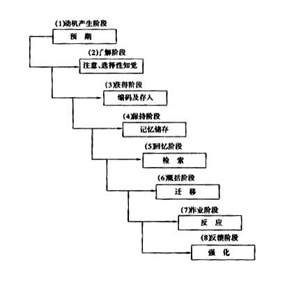 >请阐述加涅对学习的分类