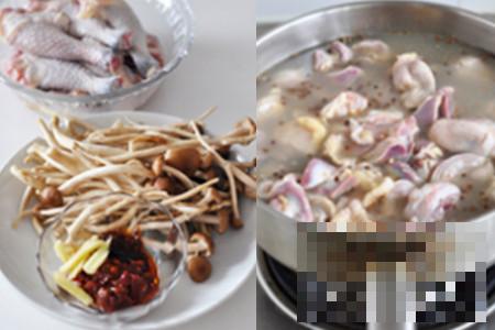 >鸡肉怎么做好吃 为你介绍茶树菇烧鸡的煮法