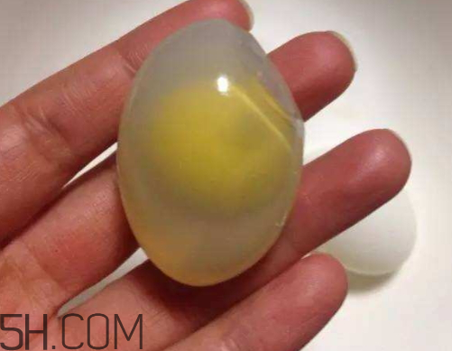 鸽子蛋为什么是透明的 鸽子蛋煮熟是透明的吗
