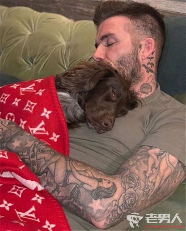 贝克汉姆抱狗睡觉被指炫富 给狗盖的毯子近5万元