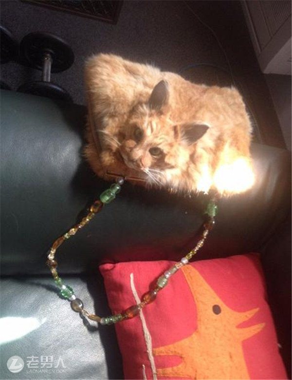 >这件猫咪手提包起拍价近万元 可你未必敢要