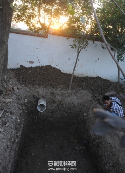 合肥一小学开挖化粪池挖出古墓 现碎骨头和古币