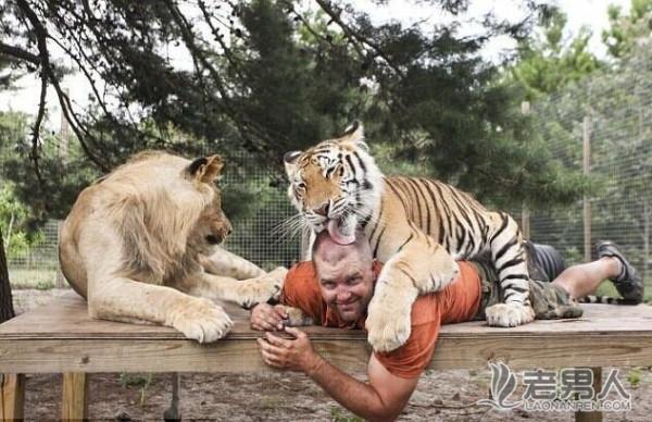 男子与14只大型猫科动物同住 其中6只老虎2头狮子（组图）