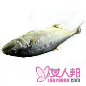 >【白条鱼能长多大】白条鱼是什么鱼_白条鱼的家常做法
