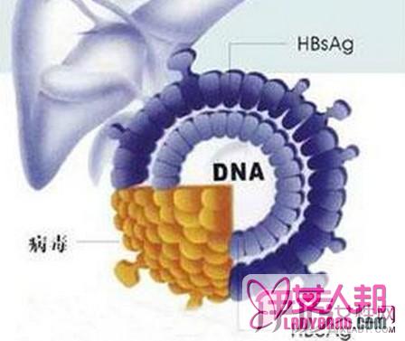 >为你解释乙肝表面抗原 乙肝表面抗原携带者应该注意八件事