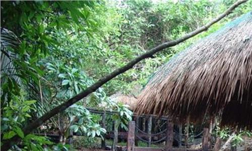 热带雨林采石场楼顶 海南热带雨林国家公园范围划定