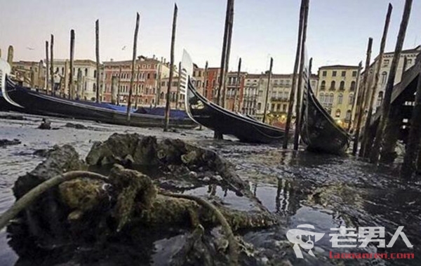 >威尼斯遇罕见低潮 河床暴露贡多拉船搁浅