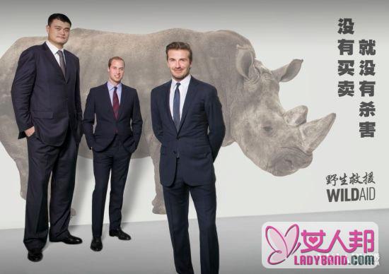 贝克汉姆公益广告 姚明携手威廉王子和小贝宣传保护大象