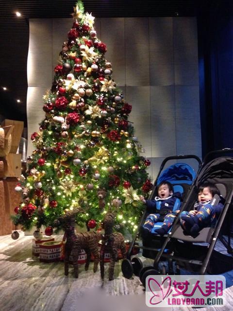 林志颖双胞胎儿子见圣诞树笑开花 表情萌哭