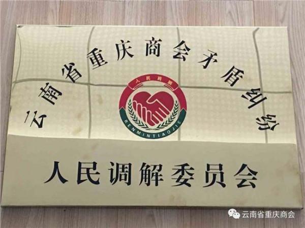 >重庆政法委书记刘学普调研医患纠纷调处工作