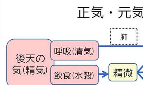 中医的津液 中医里的“津液”有啥用