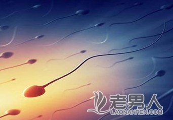 中国男性精子质量逐年下降 IT等职业致畸概率高