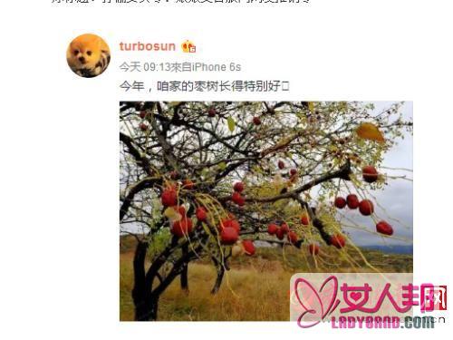 孙俪变客服要卖枣 邓超天桥贴膜两口子的副业也是红红红火火