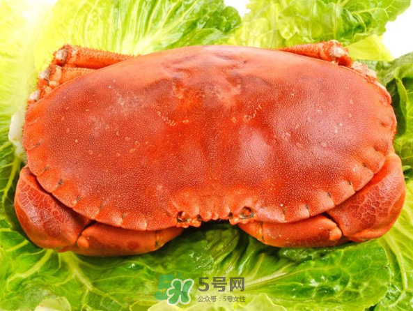 >面包蟹和帝王蟹哪个好吃？面包蟹好吃还是帝王蟹好吃？