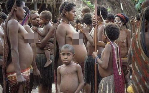 >行者原始部落纪录片最新电影视频 探索巴西原始部落免费在线观看