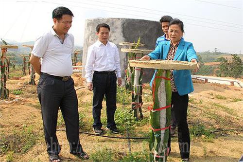 陈丽丽杭州 钦州市人大常委会副主任陈丽丽就农业工作开展专题调研