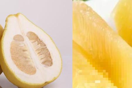 柚子的功效与作用及禁忌值得了解 正确食用促进大家身体健康