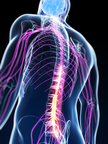 >脊椎侧弯造成胸闷、背部疼痛