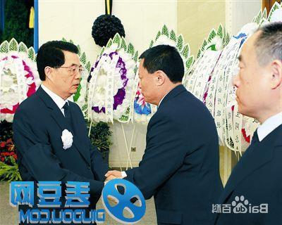 李和平李德生 李德生之子李和平是中华爱国工程联合会发起人