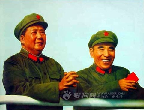 >毛泽东为梁兴初解围:喝了林彪的茶 不是他的人