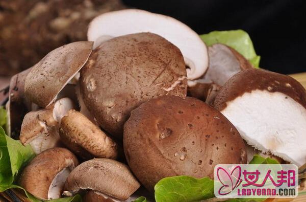 鲜香菇如何保存 鲜香菇的处理方法