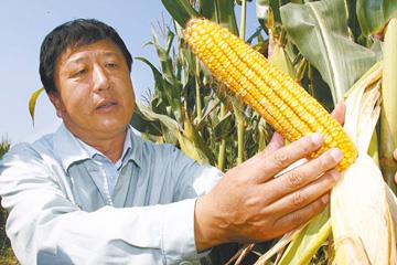 >李登海玉米种 登海种业董事长李登海: 玉米之父情系农业