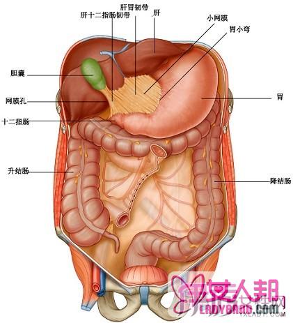 >反流性食管炎会癌变吗 反流性食道炎的病因有哪些