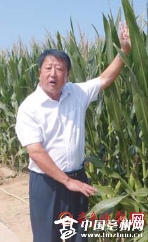 李登海私生子 紧凑型杂交玉米之父李登海:毕生跟种子较劲