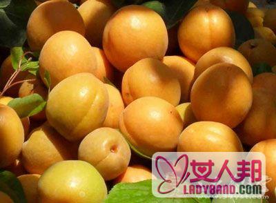 吃杏子的好处 吃杏子可降低胆固醇