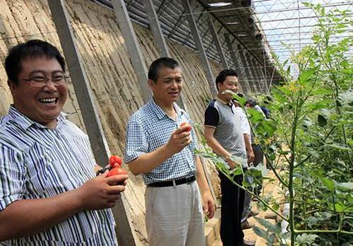 团河北省委副书记韩立群到元氏县调研