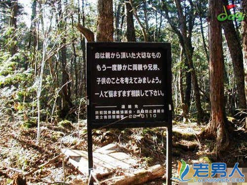 世界最变态的10个地方!日本自杀森林 [图文]