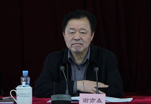 江西谢亦森 谢亦森在审议江西省政府工作报告时发言