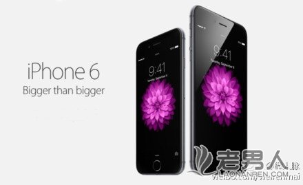 >苹果CEO库克宣布出柜 网友称：理解了iPhone6爱弯壁纸是菊花