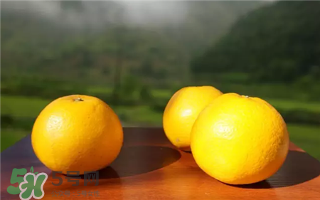 胡柚是什么?胡柚和西柚的区别?