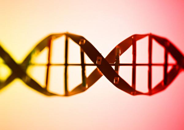 卢煜明研究 卢煜明教授新研究:DNA甲基化测序用于癌症无创检测