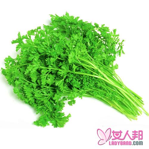 >香菜的功效与作用及食用方法_香菜的营养价值