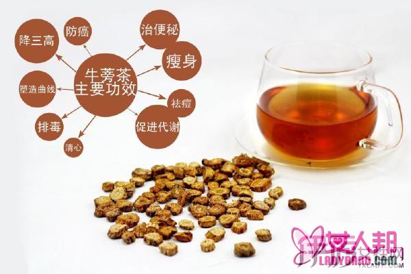 >牛蒡茶的功效与作用及禁忌 轻松减肥抗衰老