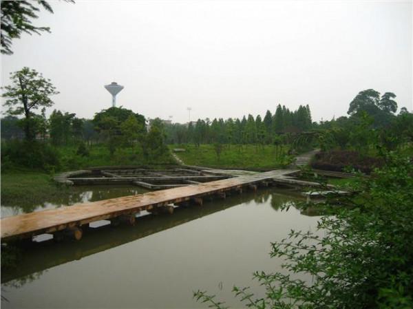 张少林富平县 富平县创建省级生态园林县城市局技术初检